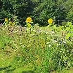 4 Star Holiday Home In Hemmet Hébergement de vacances